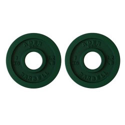 Precision Olympic Plate Pair- 1.0Kg