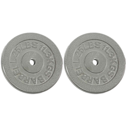 Standard 1" Hole Cast Iron Weight Plate Pair- 25LB, Gray
