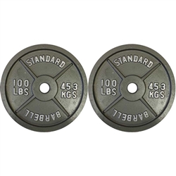 Gray Cast Iron Plate Pair- 100Lbs