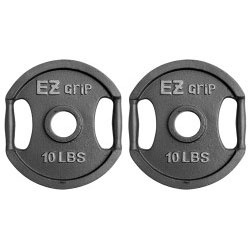 Gray EZ Grip Plate Pair- 10Lbs