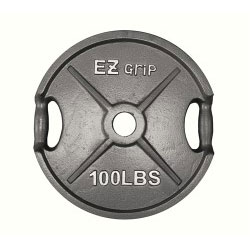Gray EZ Grip Plate- 100Lbs
