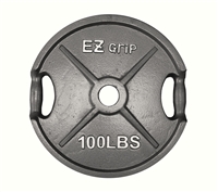 Gray EZ Grip Plate- 100Lbs