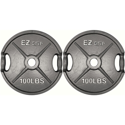 Gray EZ Grip Plate Pair- 100Lbs