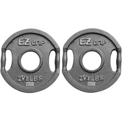Gray EZ Grip Plate Pair- 2.5Lbs
