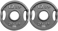 Gray EZ Grip Plate Pair- 2.5Lbs