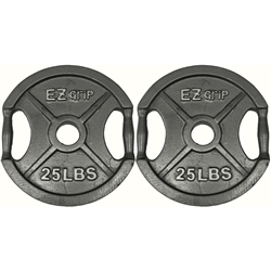 Gray EZ Grip Plate Pair- 25Lbs
