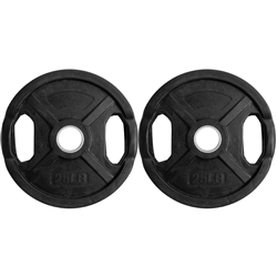 Rubber Coated Grip Plate Pair- 25Lbs