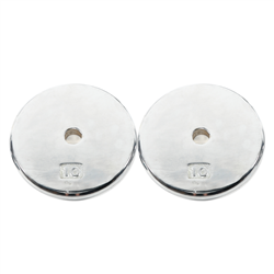 Standard 1" Hole Cast Iron Weight Plate Pair- 10LB, Chrome